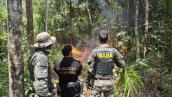 ibama-e-pf-destroem-mais-tres-aeronaves-usados-por-garimpeiros-na-terra-yanomami