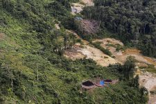 alertas-de-garimpo-ilegal-na-terra-yanomami-reduz-para-96,6%-em-2023,-aponta-policia-federal