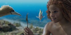 ‘a-pequena-sereia’-estreia-nos-cinemas-de-boa-vista