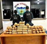 policia-apreende-mais-60-kg-de-skunk-e-maconha-escondidos-em-area-de-fazenda-no-interior-de-rr