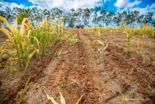 feira-de-agricultura-‘agro-bv’-ocorre-nos-dias-28-e-30-de-julho-na-zona-rural-de-boa-vista