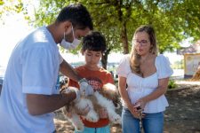 vacinacao-antirrabica-para-caes-e-gatos-continua-neste-sabado-(19)-em-boa-vista;-veja-os-locais